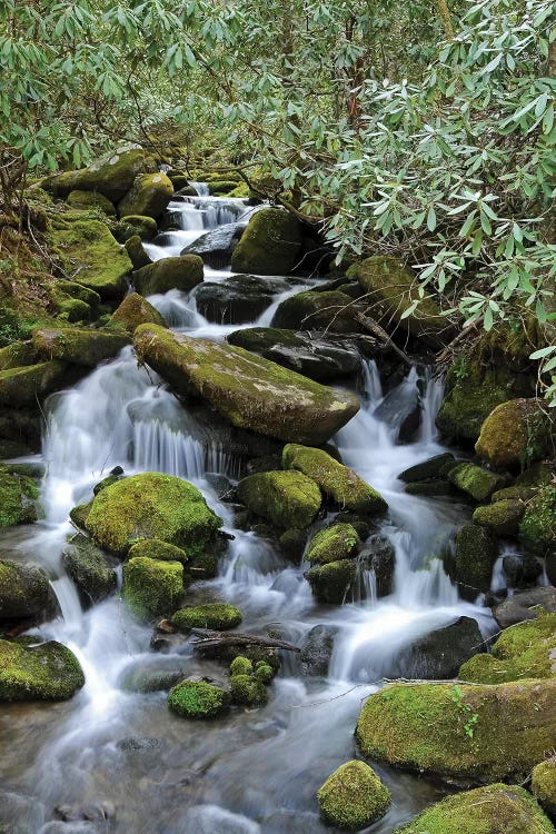 Smokey Mountain Waterfall by Brian Wolf wall art