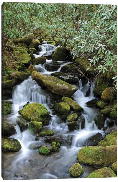 Smokey Mountain Waterfall Canvas Art Print - Great Smoky Mountains National Park