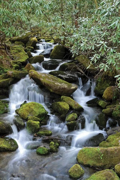 North Carolina: Smokey Mountain Waterfall by Brian Wolf