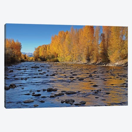 Autumn River Canvas Print #BWF29} by Brian Wolf Canvas Art Print
