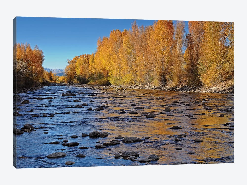 Autumn River by Brian Wolf 1-piece Art Print
