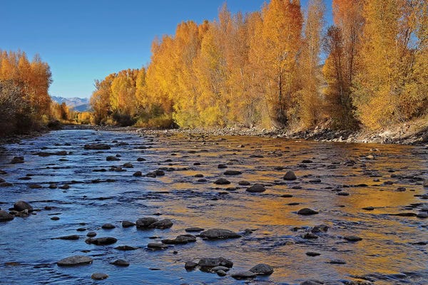 Brian Wolf: Autumn River by Brian Wolf
