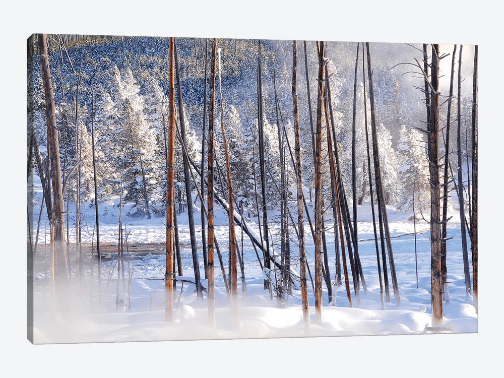 Steamy View by Brian Wolf 1-piece Canvas Wall Art