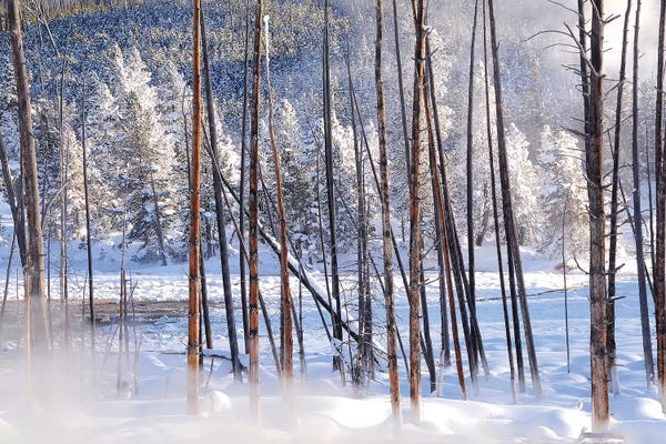 Mist & Fog: Steamy View by Brian Wolf