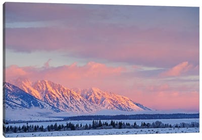 Sunrise On The Teton Range Canvas Art Print - Teton Range Art