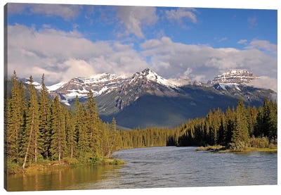 The Canadian Rockies Canvas Art Print - Rocky Mountain Art Collection - Canvas Prints & Wall Art