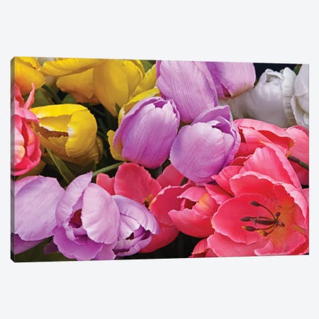 Tulip Bouquet Canvas Print #BWF355} by Brian Wolf Art Print