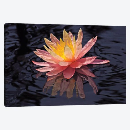 Water Lily Reflection Canvas Print #BWF364} by Brian Wolf Canvas Wall Art
