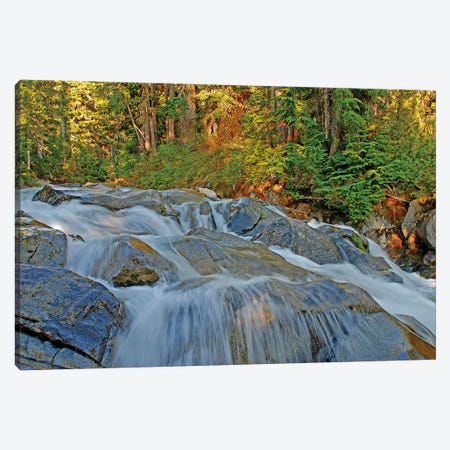 Waterfalls at Mount Rainier Canvas Print #BWF367} by Brian Wolf Canvas Artwork