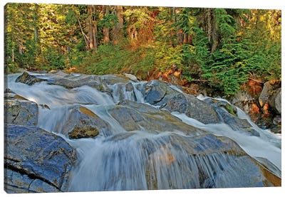 Waterfalls at Mount Rainier Canvas Art Print - Mount Rainier National Park Art