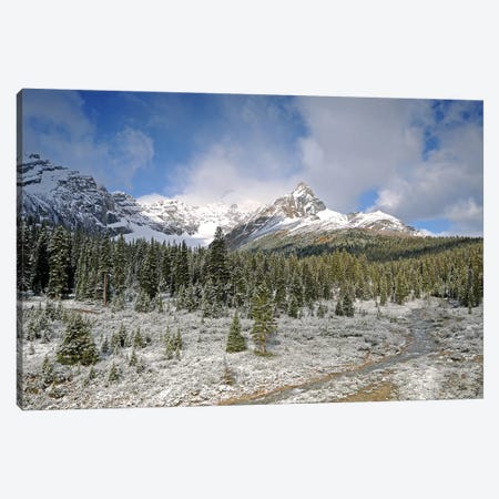 Wilcox Pass Canvas Print #BWF372} by Brian Wolf Canvas Wall Art