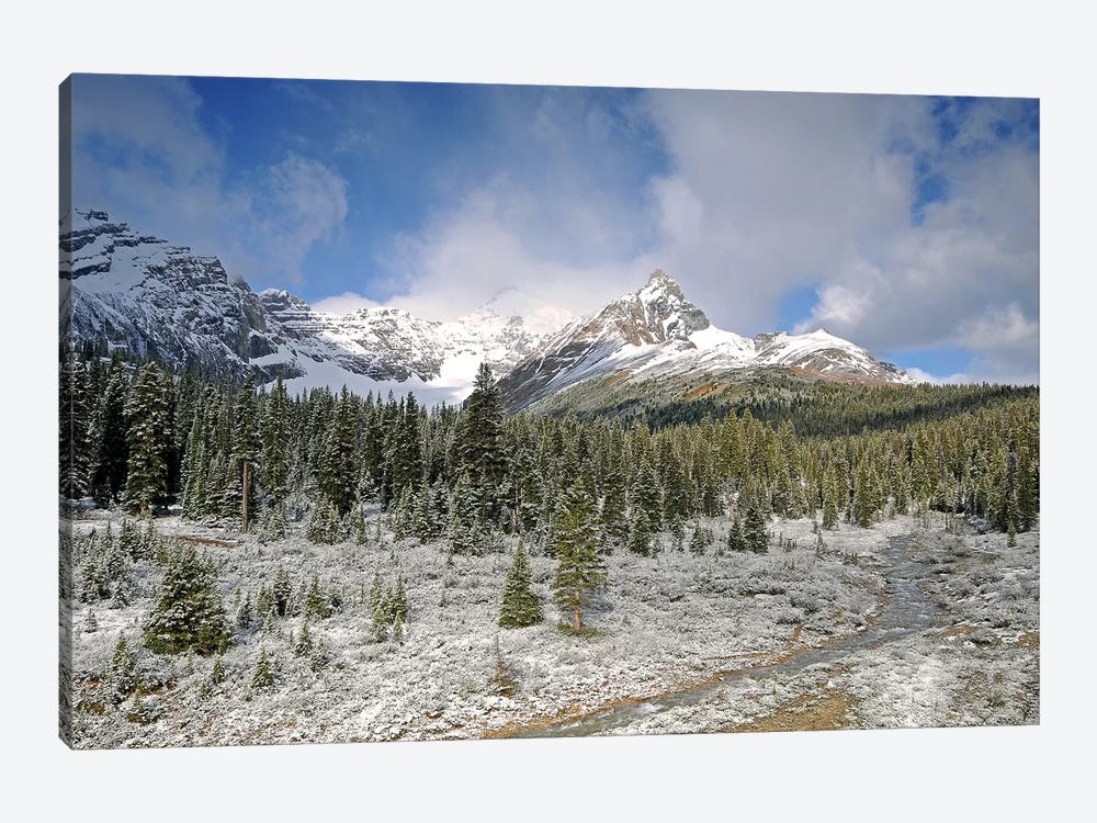 Wilcox Pass by Brian Wolf 1-piece Canvas Wall Art