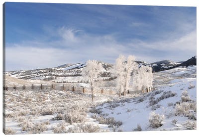 Winter In Lamar Valley Canvas Art Print - Yellowstone National Park Art