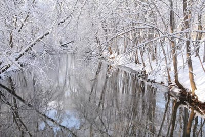 Winter River by Brian Wolf art print