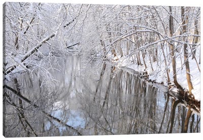 Winter River Canvas Art Print - Brian Wolf