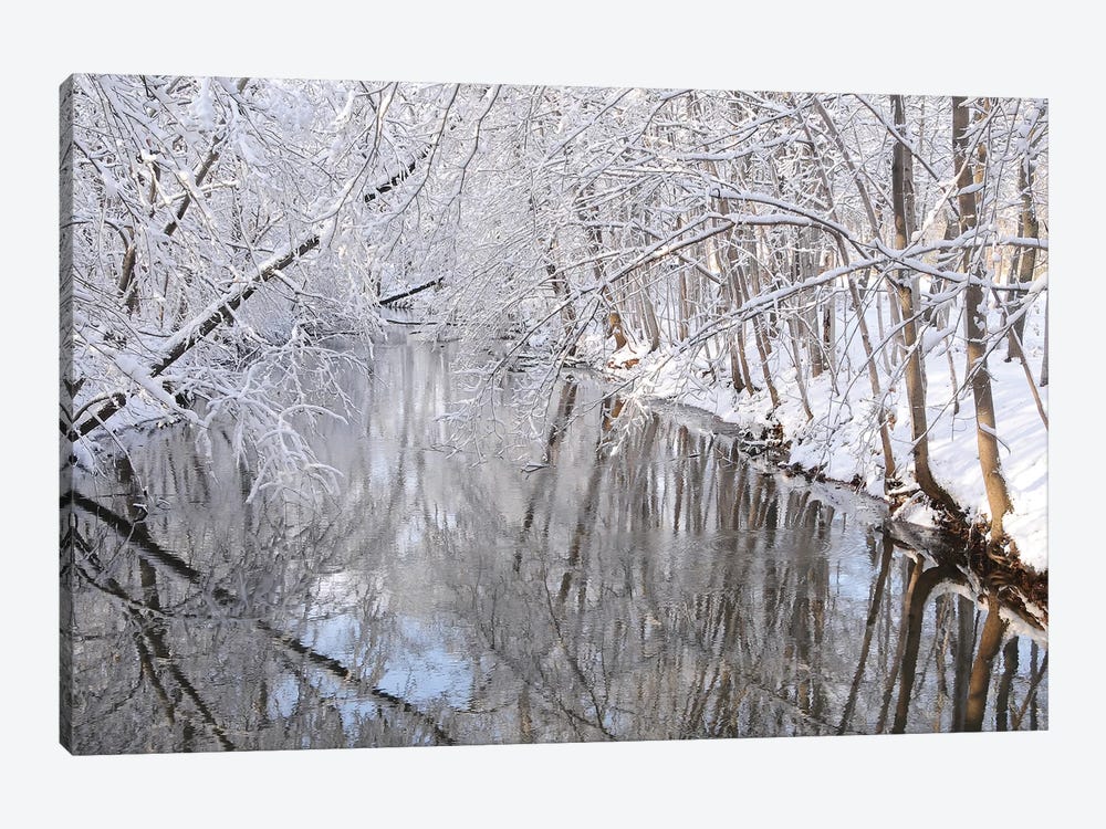 Winter River by Brian Wolf 1-piece Canvas Print