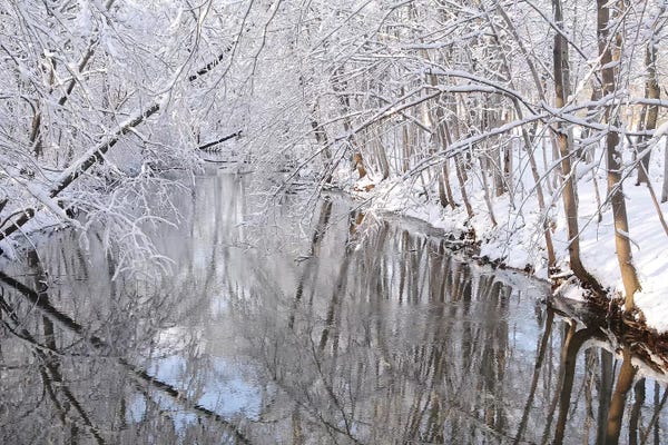 Brian Wolf: Winter River by Brian Wolf