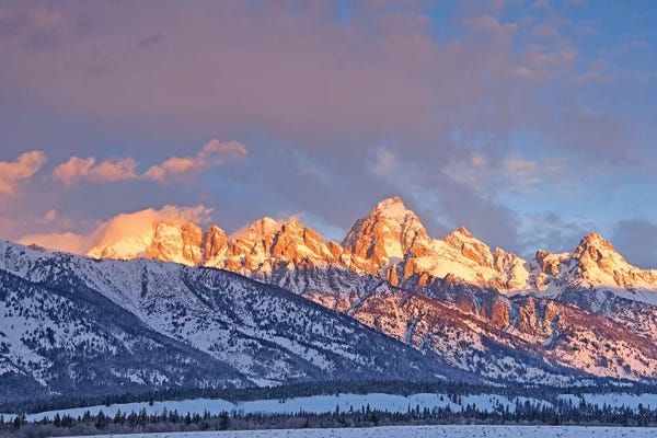 Wyoming: Winter Sunrise On The Tetons by Brian Wolf