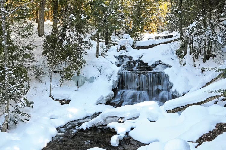 Winter Waterfall