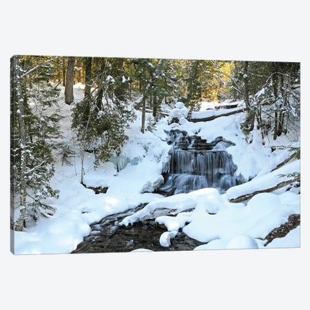 Winter Waterfall Canvas Print #BWF384} by Brian Wolf Canvas Artwork