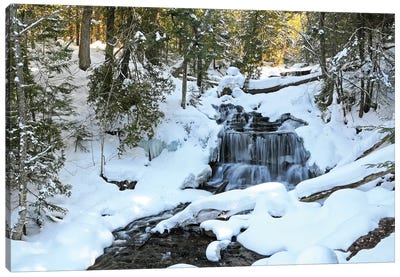 Winter Waterfall Canvas Art Print - Brian Wolf