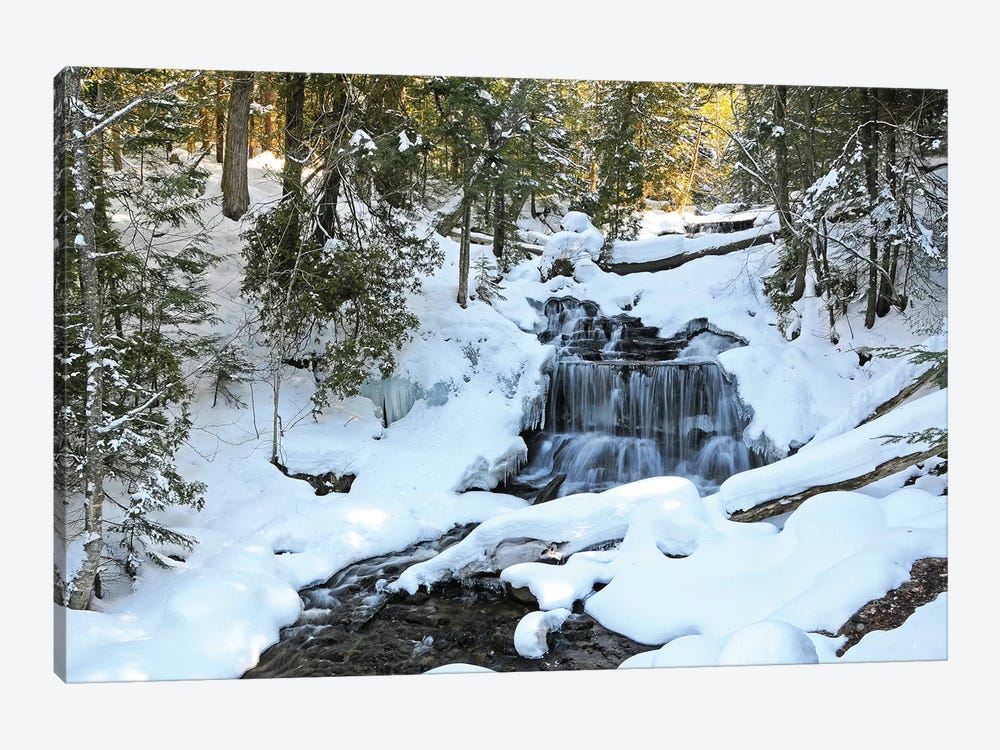 Winter Waterfall by Brian Wolf 1-piece Canvas Art Print
