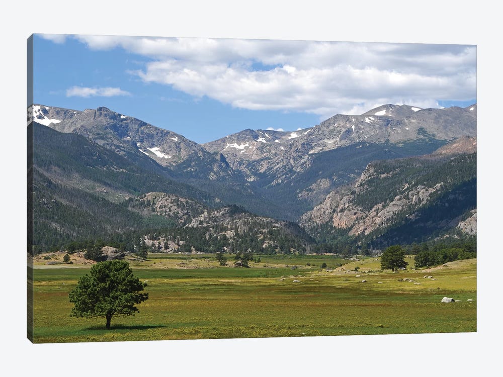 Mountain Meadow by Brian Wolf 1-piece Canvas Artwork