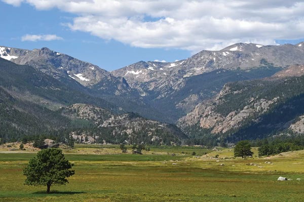 Brian Wolf: Mountain Meadow by Brian Wolf