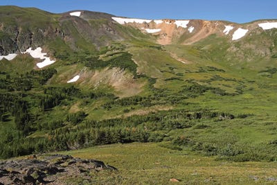 Alpine View by Brian Wolf canvas print