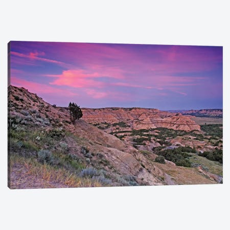Badlands Sunset Canvas Print #BWF40} by Brian Wolf Canvas Print