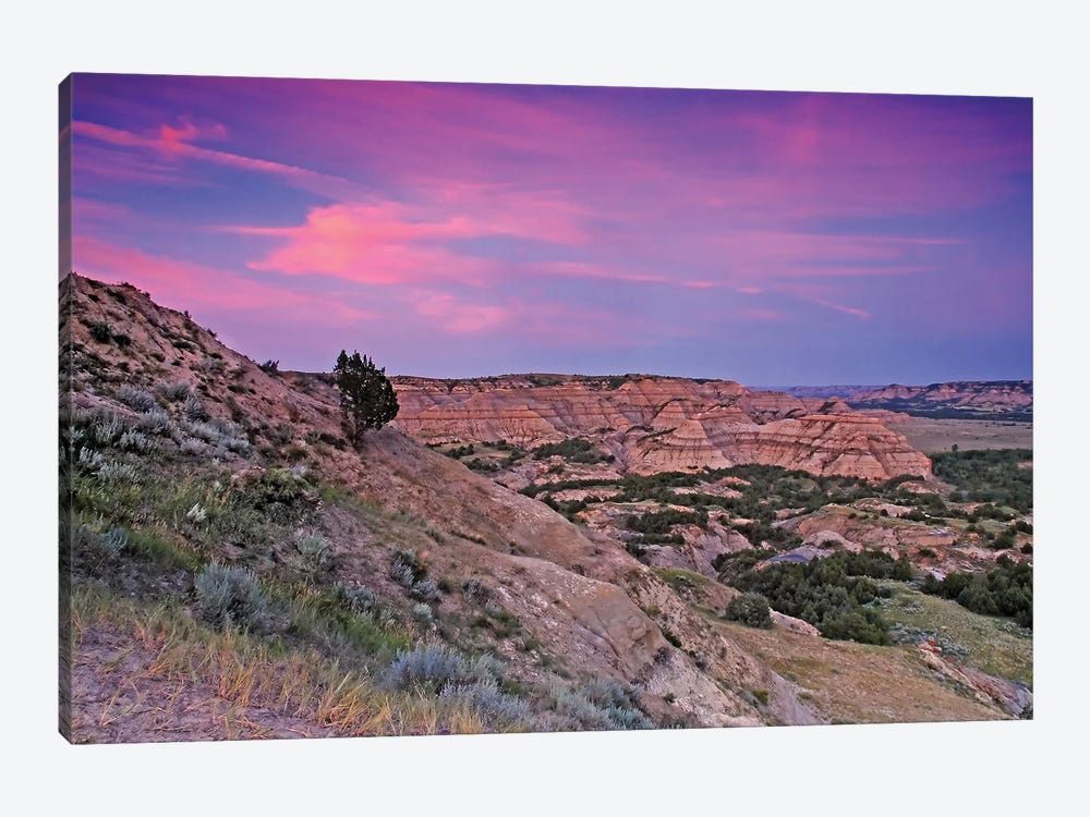 Badlands Sunset by Brian Wolf 1-piece Canvas Wall Art