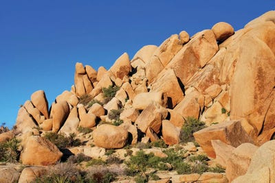 Balancing Act by Brian Wolf canvas print