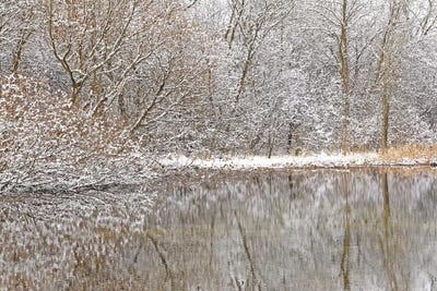Springtime Snow Pond Reflections by Brian Wolf art print
