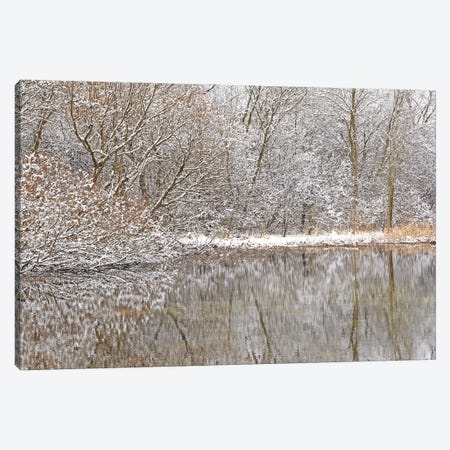 Springtime Snow Pond Reflections Canvas Print #BWF431} by Brian Wolf Canvas Print