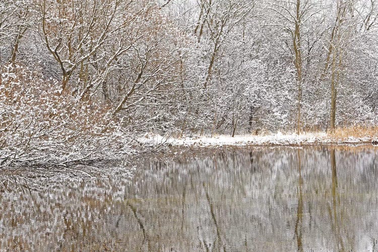 Springtime Snow Pond Reflections