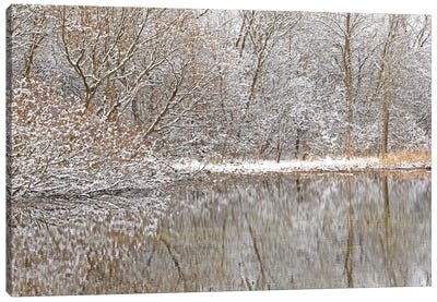 Springtime Snow Pond Reflections Canvas Art Print - Brian Wolf