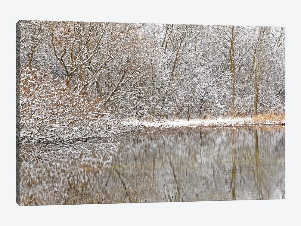 Springtime Snow Pond Reflections by Brian Wolf 1-piece Canvas Wall Art