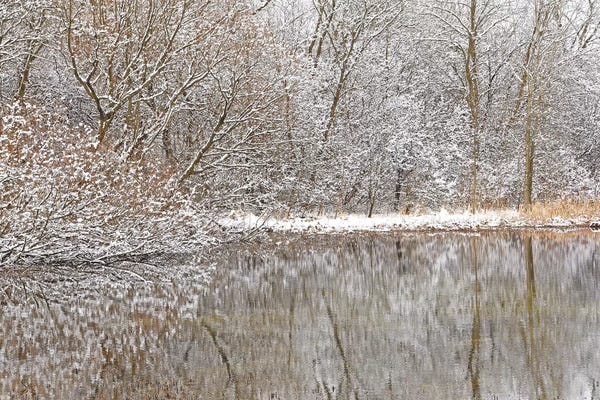 Brian Wolf: Springtime Snow Pond Reflections by Brian Wolf