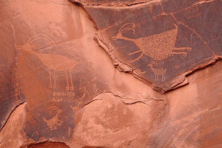 Anasazi Petroglyphs