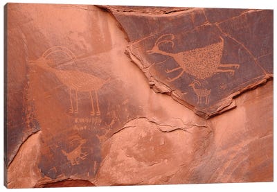 Anasazi Petroglyphs Canvas Art Print - Brian Wolf