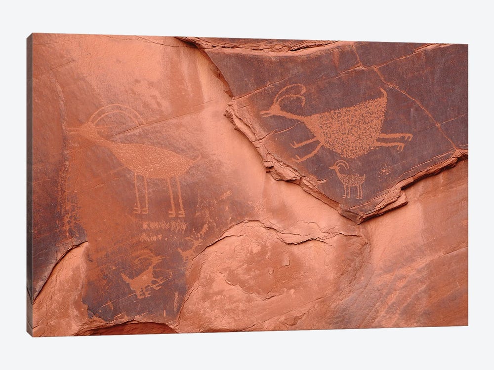 Anasazi Petroglyphs by Brian Wolf 1-piece Canvas Art