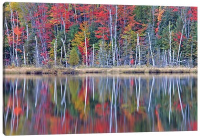 Autumn On Council Lake Canvas Art Print - Brian Wolf
