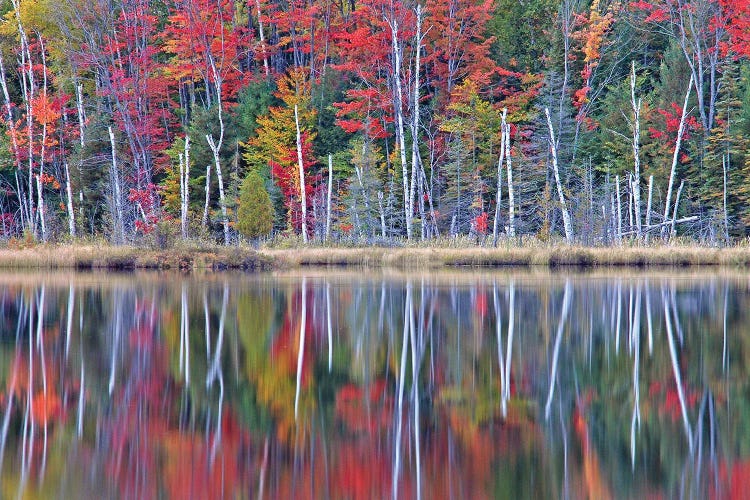 Autumn On Council Lake