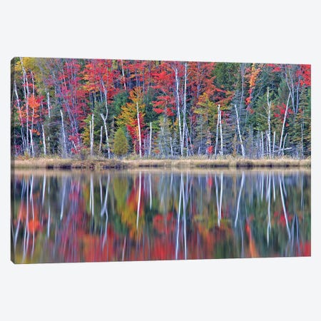 Autumn On Council Lake Canvas Print #BWF506} by Brian Wolf Canvas Art