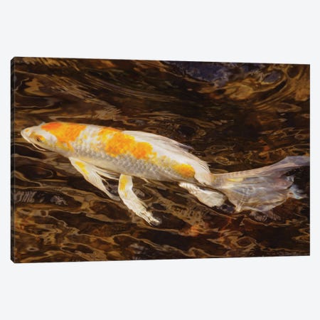 Swimming Along Canvas Print #BWF519} by Brian Wolf Canvas Art