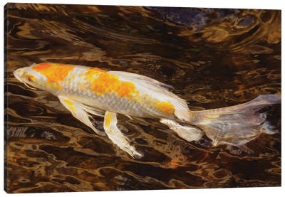 Swimming Along Canvas Art Print - Koi Fish Art
