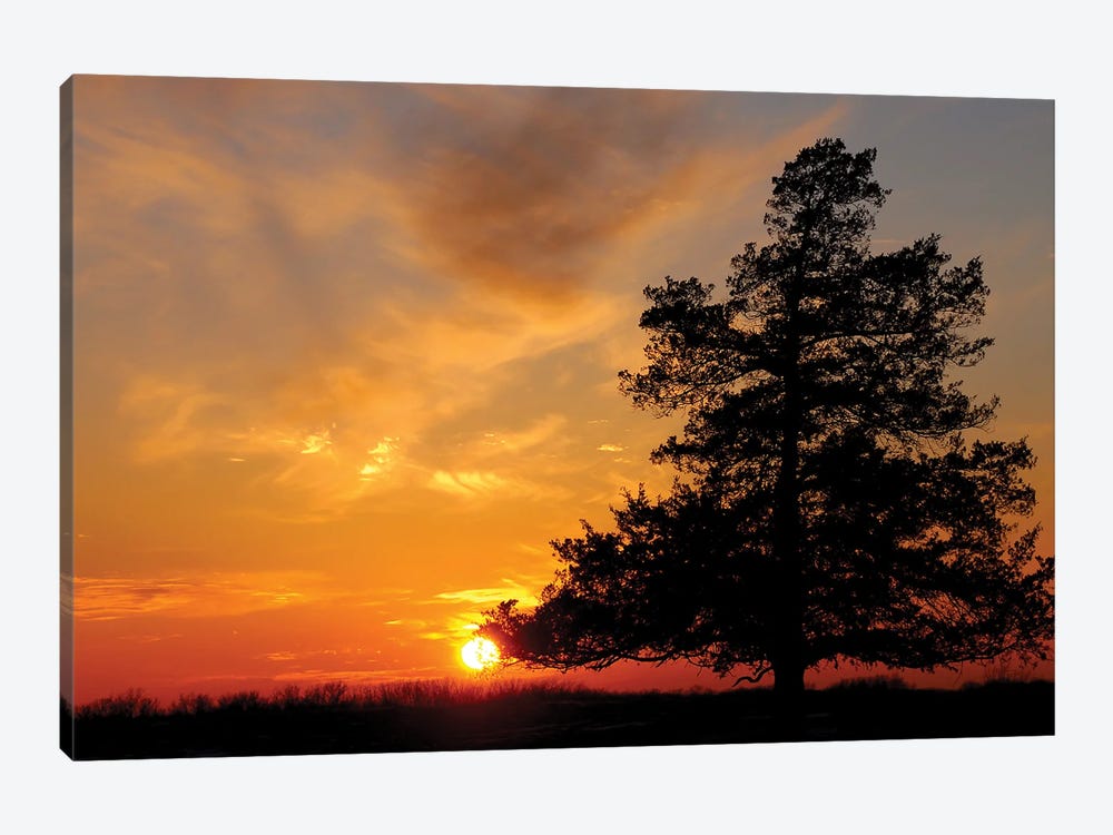Missouri Sunset by Brian Wolf 1-piece Canvas Print