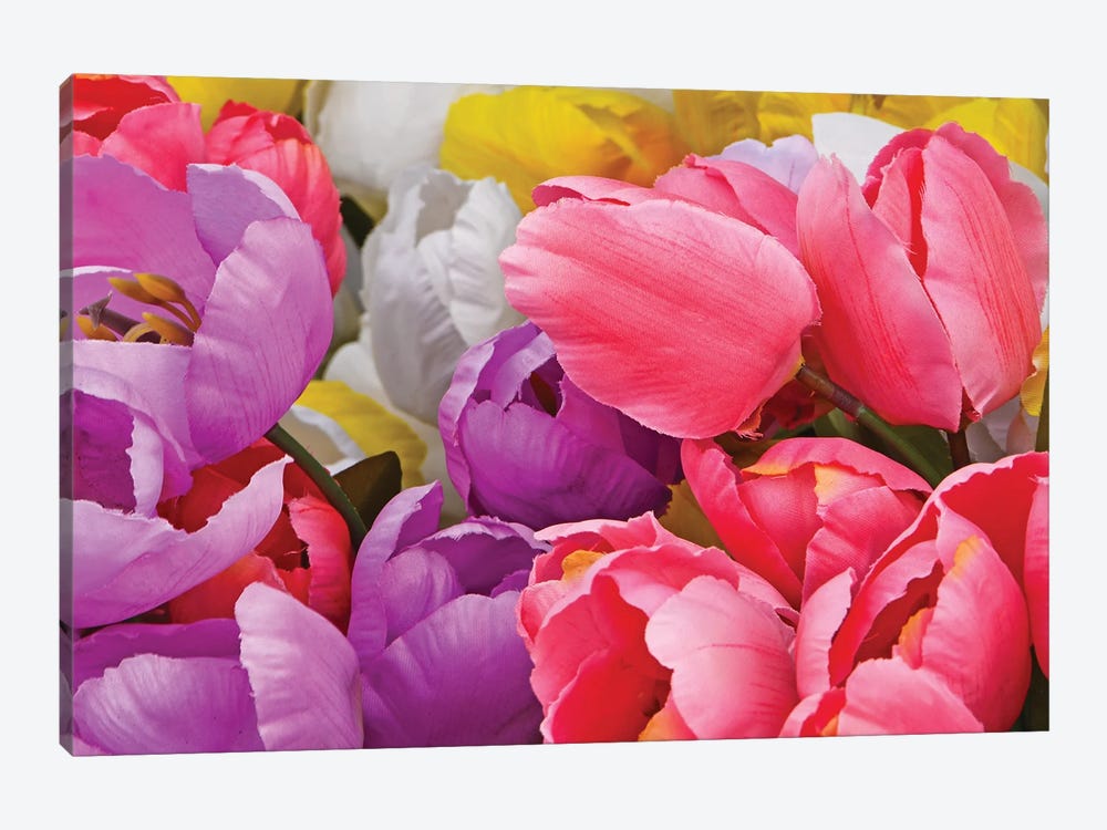 Assorted Colors - Tulips by Brian Wolf 1-piece Canvas Print