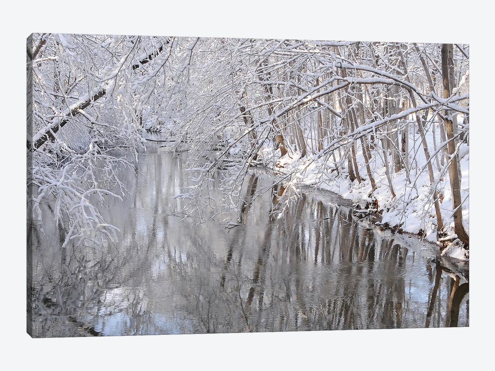 Winter River Reflections by Brian Wolf 1-piece Canvas Print