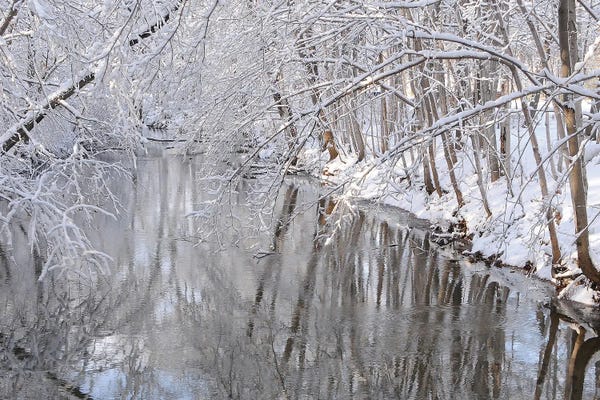 Brian Wolf: Winter River Reflections by Brian Wolf